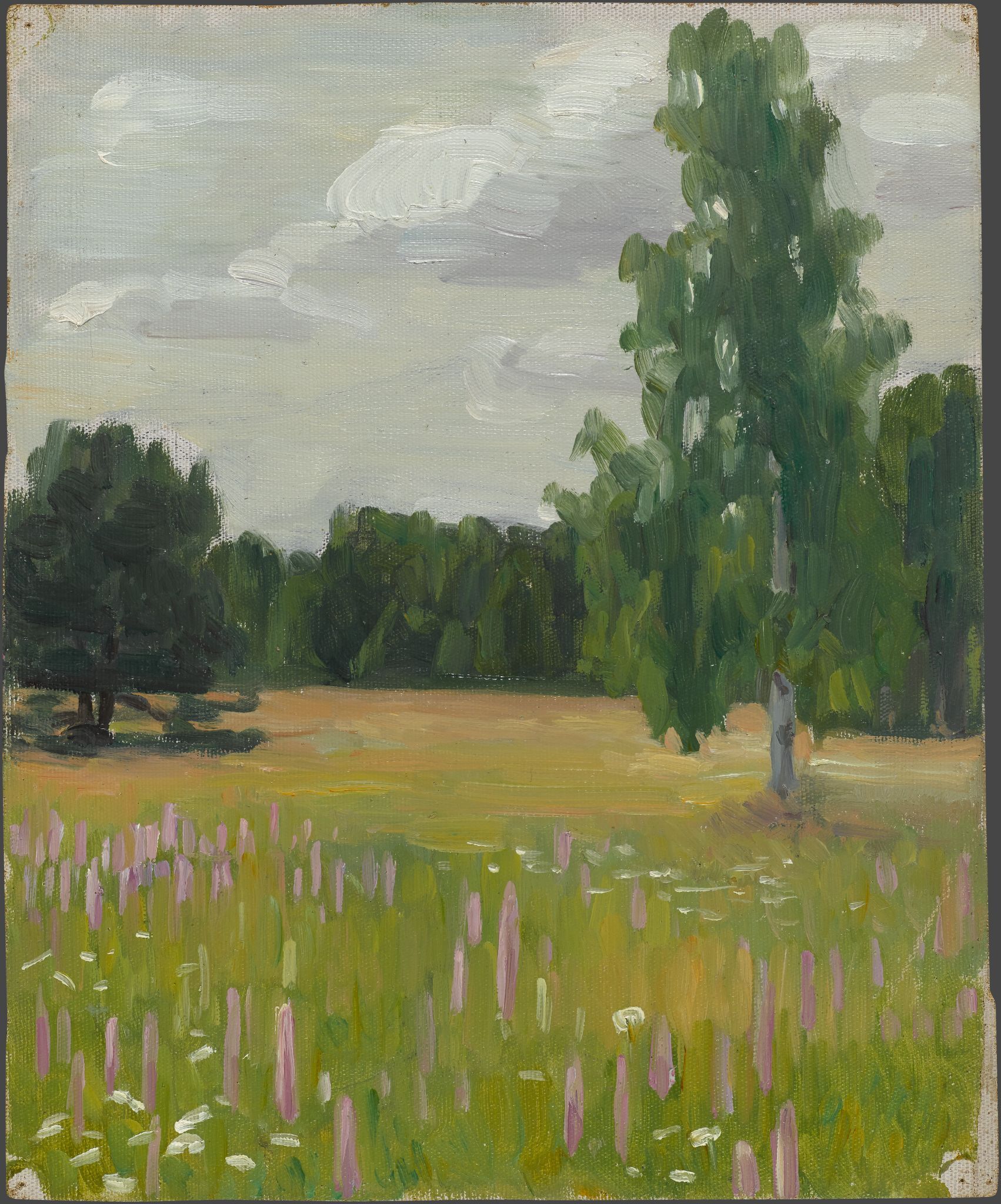 Поляна, Viktor Vasnetsov, 1900s