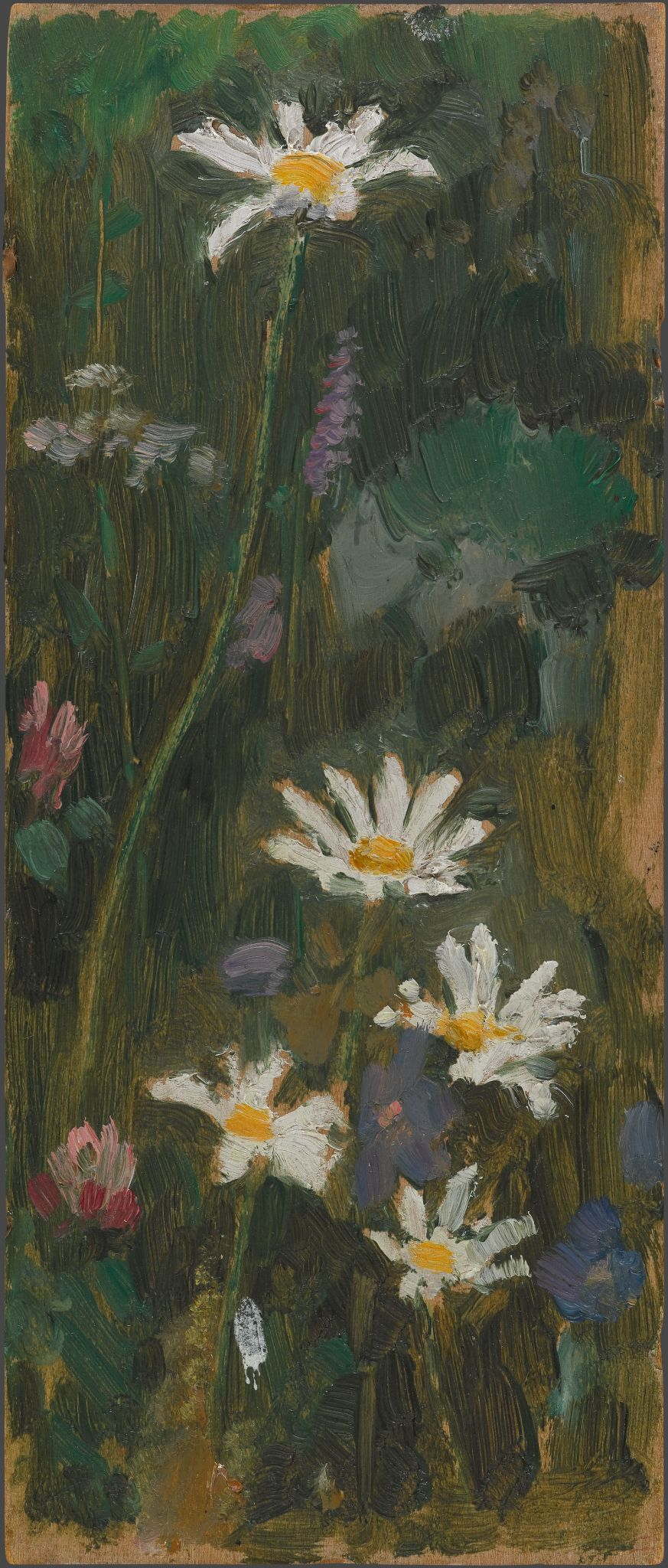 Ромашки, Viktor Vasnetsov, 1916