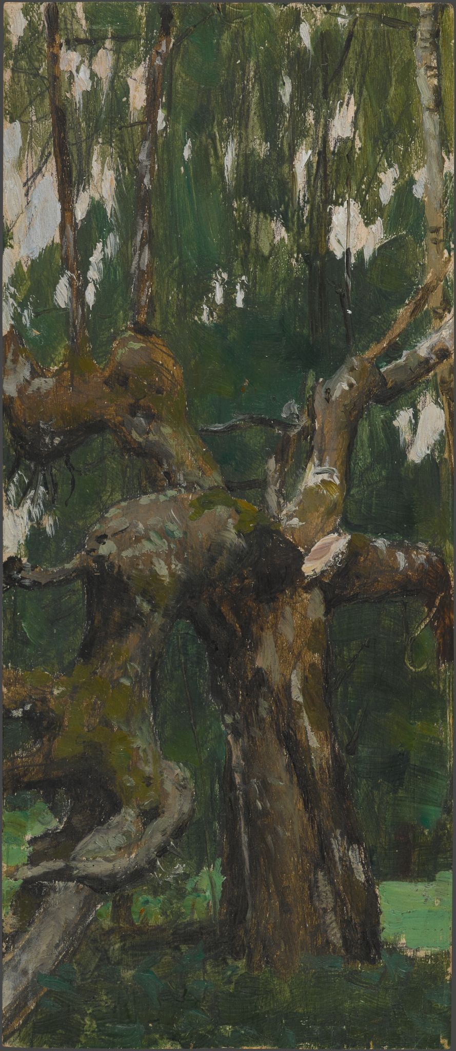Дерево, Viktor Vasnetsov, 1917