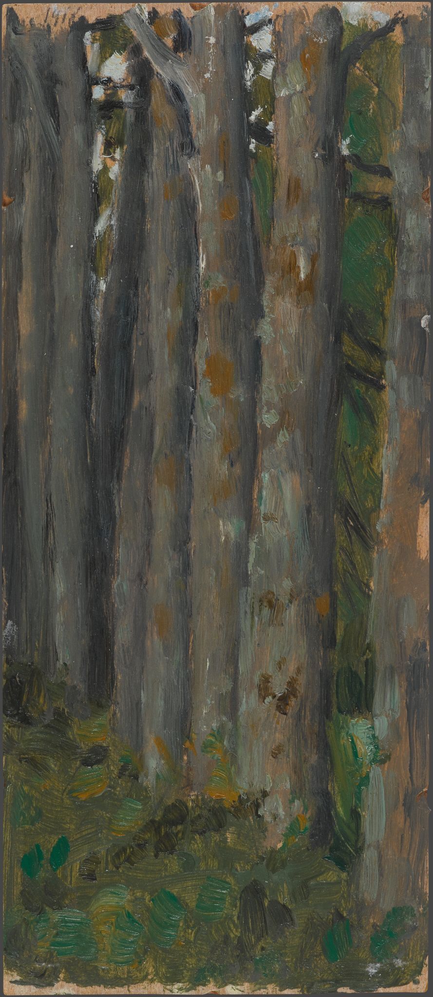 Аллея. Стволы лип, Viktor Vasnetsov, 1916