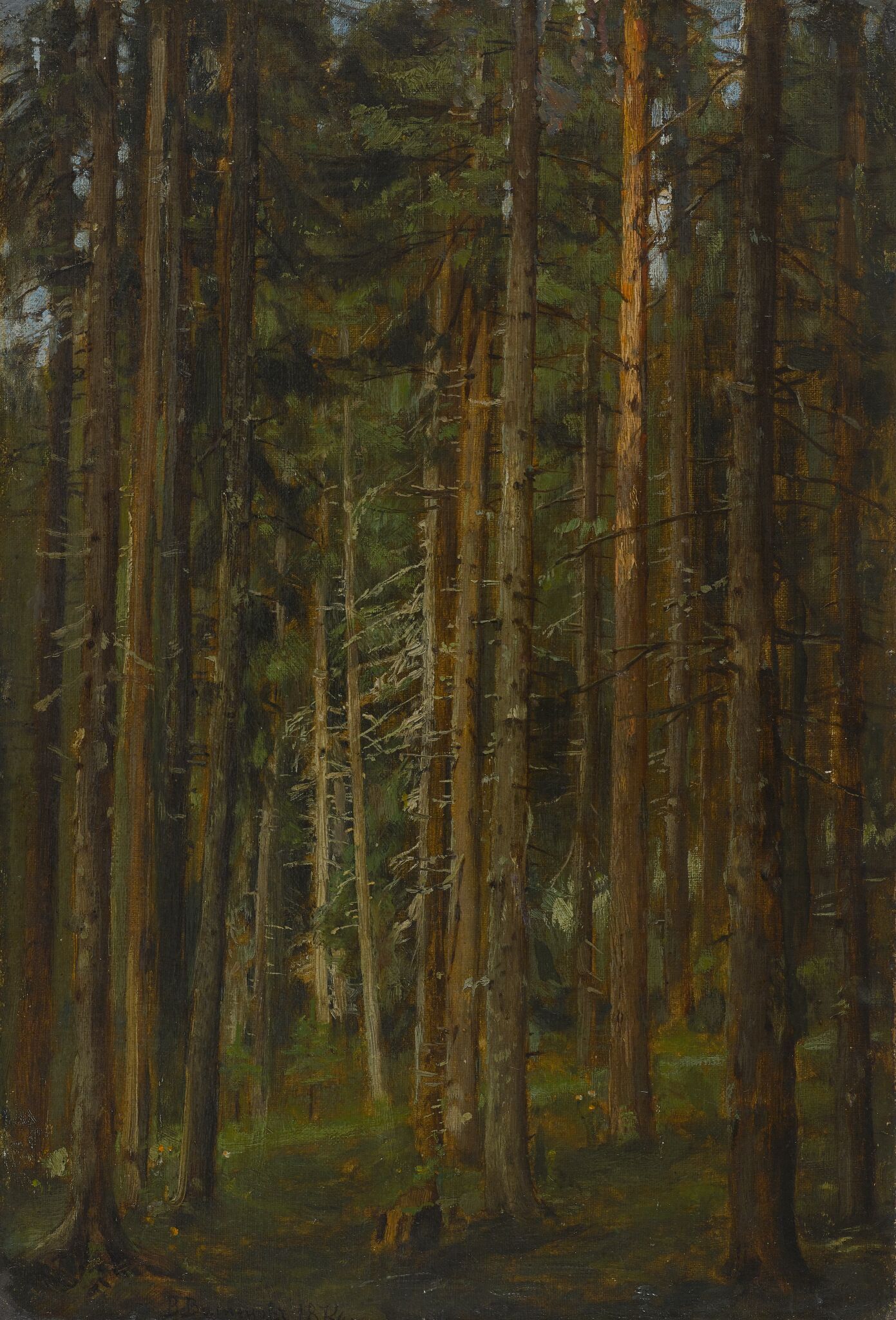 Хвойный лес, Viktor Vasnetsov, 1874