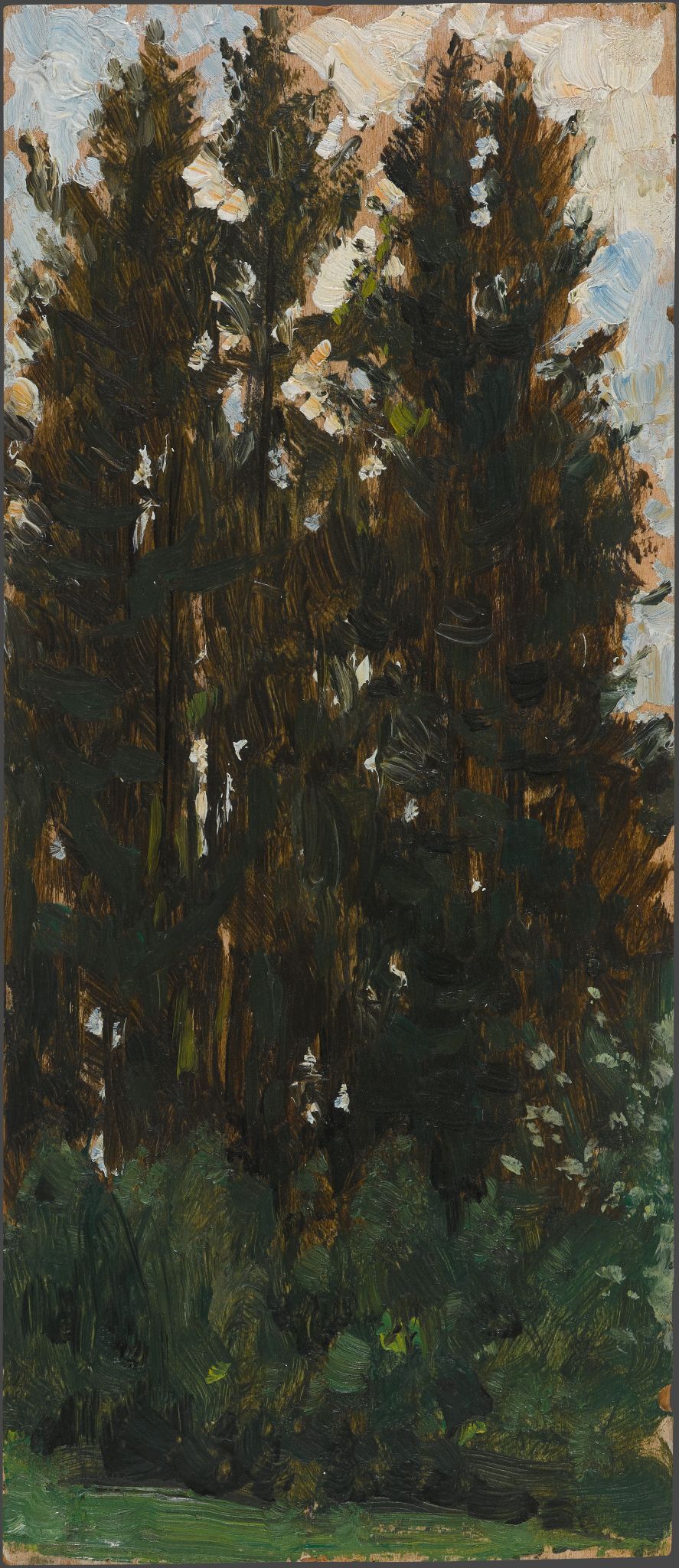 Ели, Viktor Vasnetsov, 1916