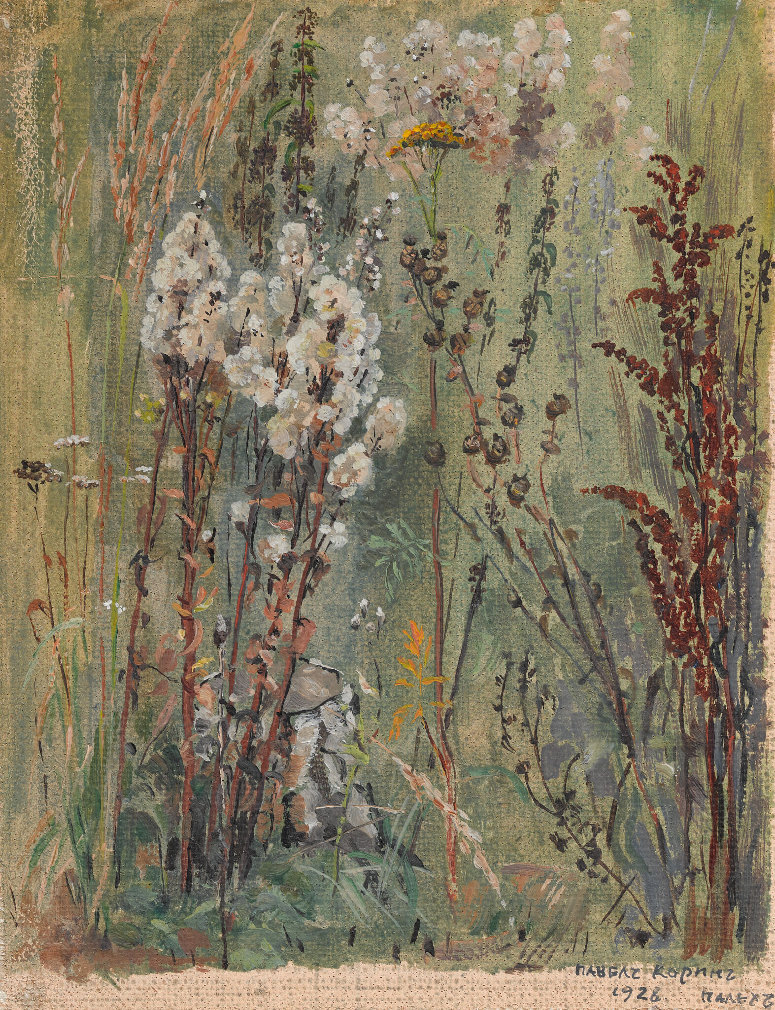 Полевые травы. Этюд для картины «Моя Родина», Pavel Korin, 1928