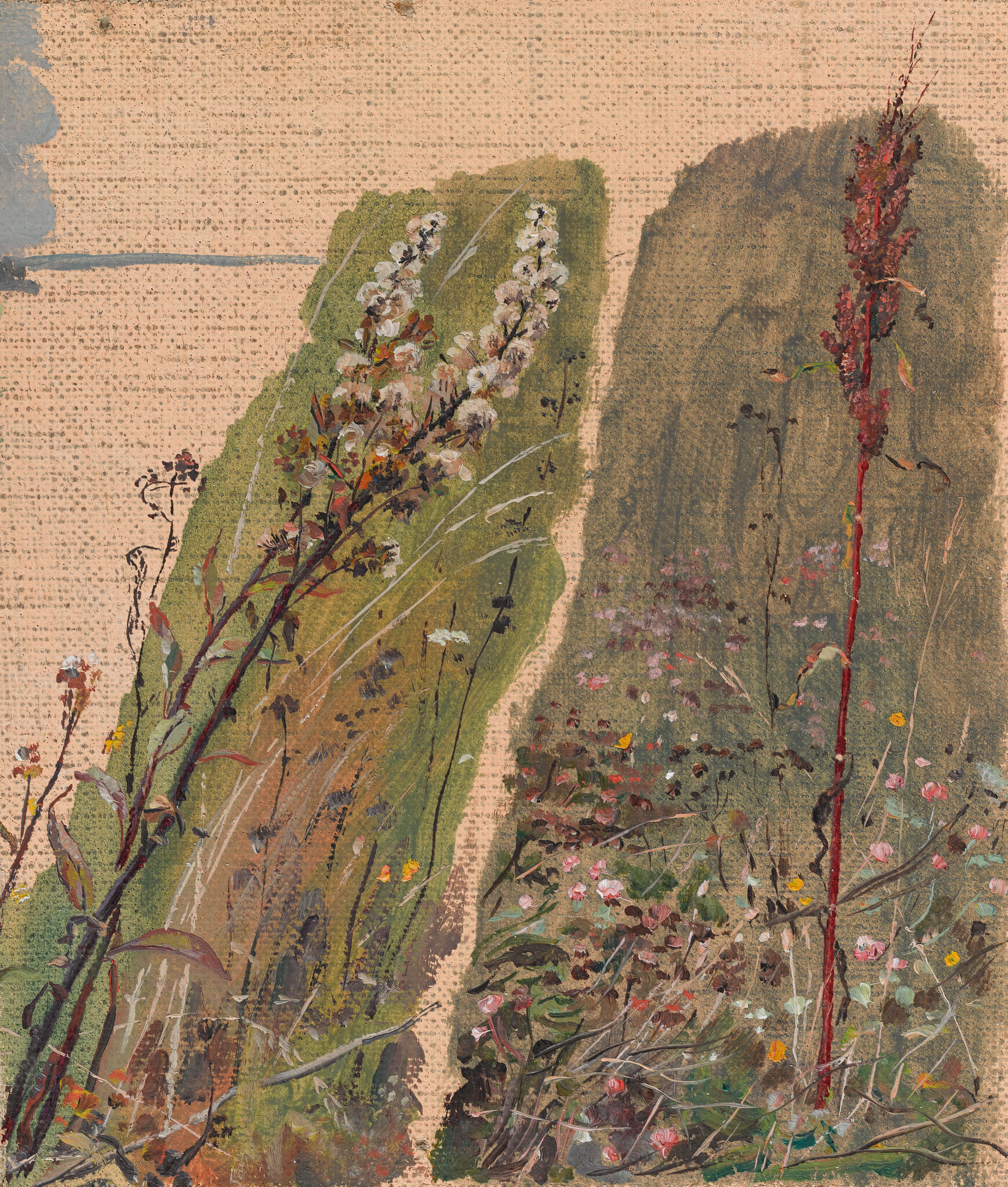 Полевые травы. Этюд для картины «Моя Родина», Pavel Korin, 1928