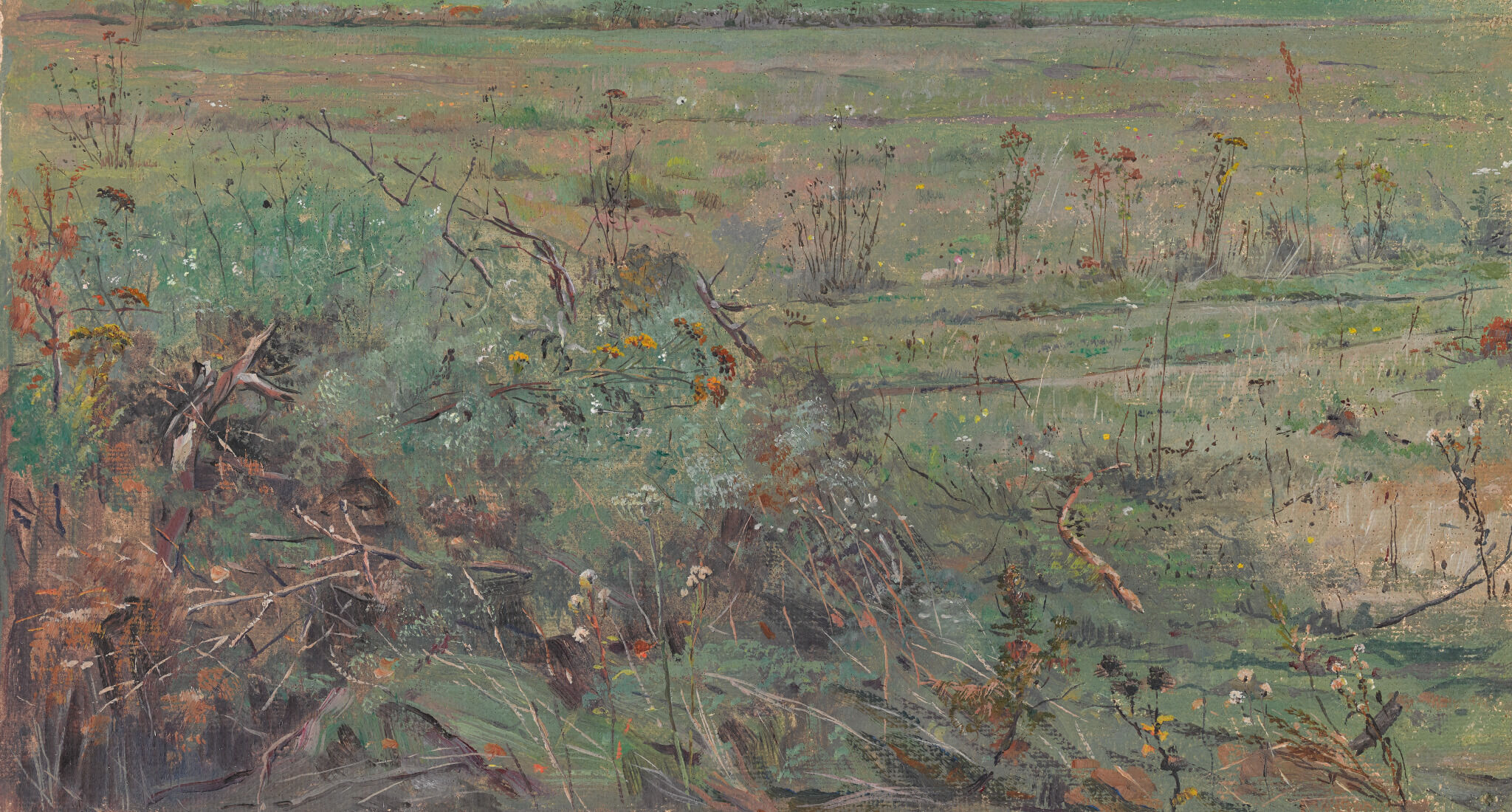 Полевые травы. Этюд для картины «Моя Родина», Pavel Korin, 1928